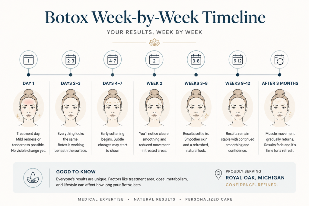 Medical spa infographic showing a Botox week-by-week timeline. Clean, minimalist design with a light cream background and muted blue accents. Timeline stages: Day 1, Days 2–3, Days 4–7, Week 2, Weeks 3–8, Weeks 9–12, After 3 Months, each with subtle face illustrations showing gradual changes in redness, softening, smoothing, and fading results. Includes short, patient-friendly descriptions, calendar icons, and a professional layout suitable for a high-end clinic in Royal Oak, Michigan.